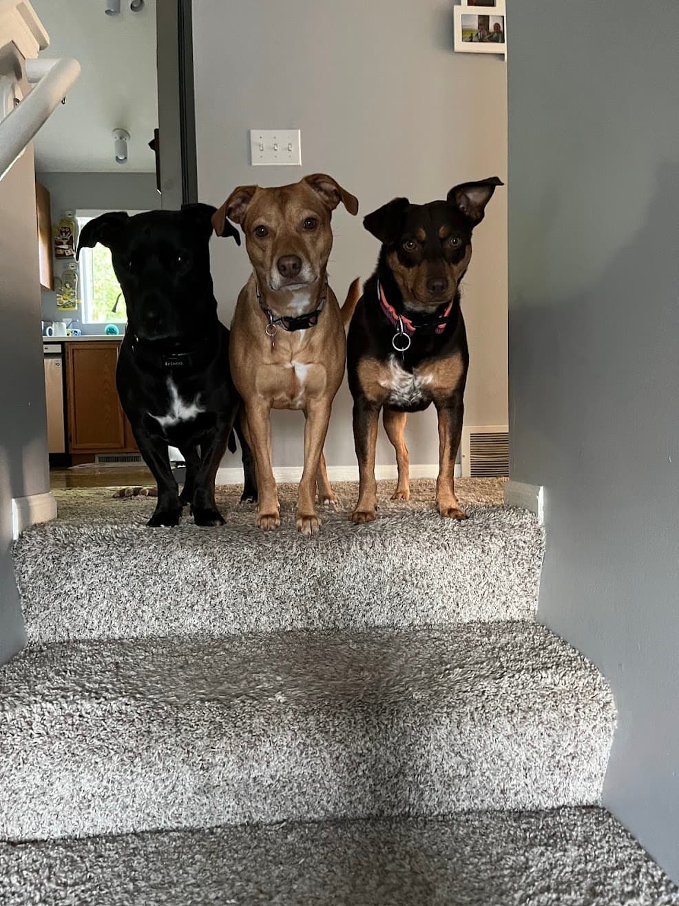 Us Photo 25