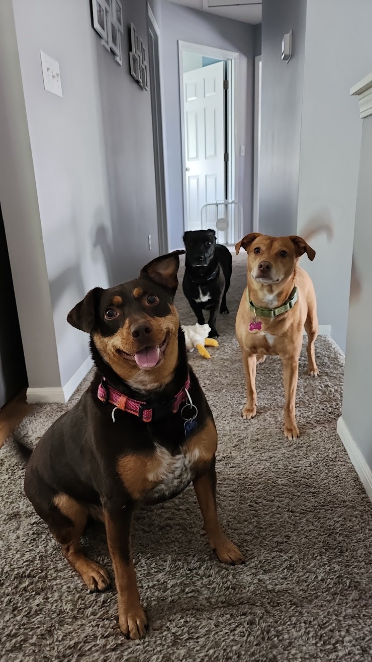 Family Photo 2