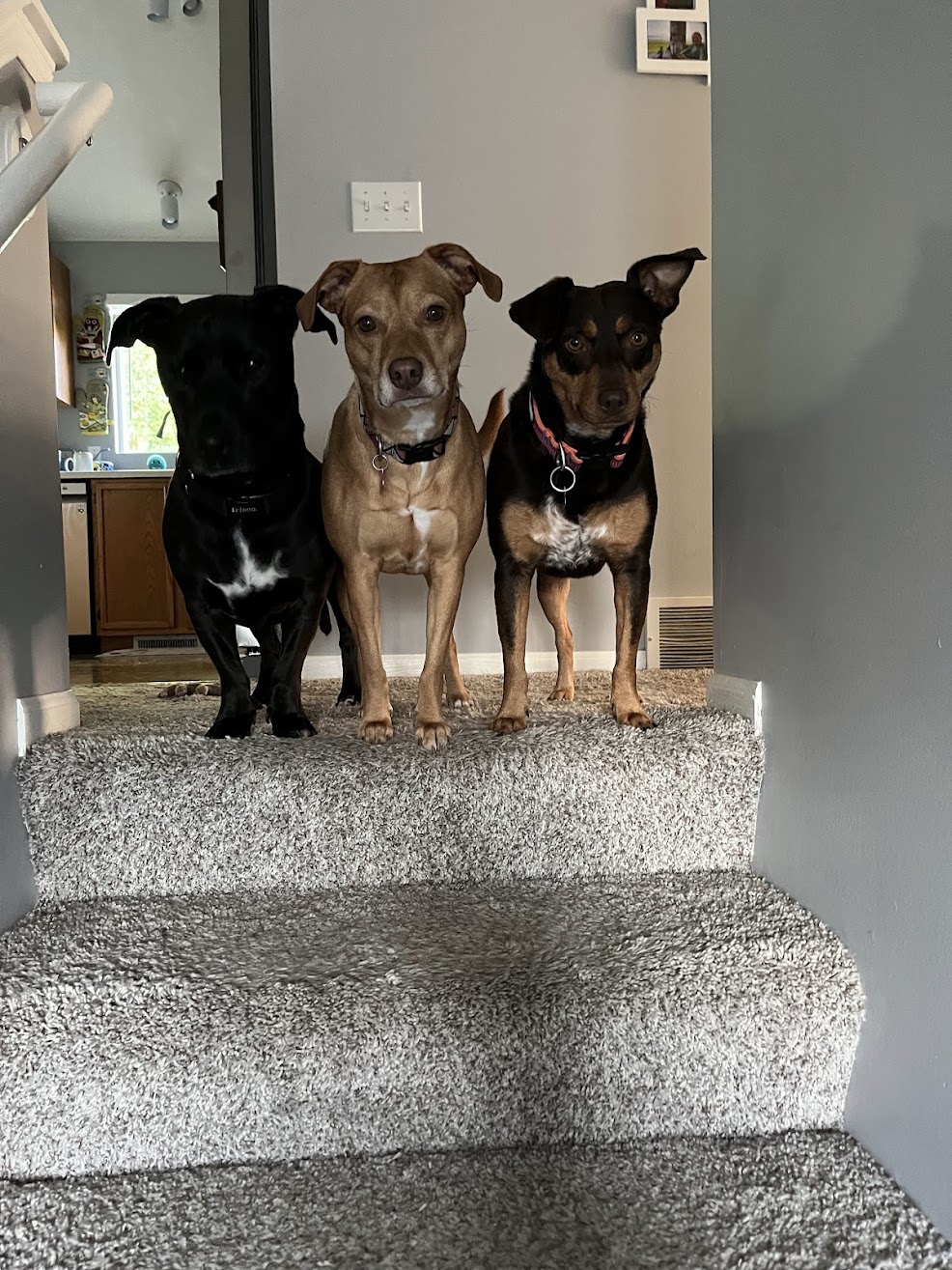 Family Photo 4