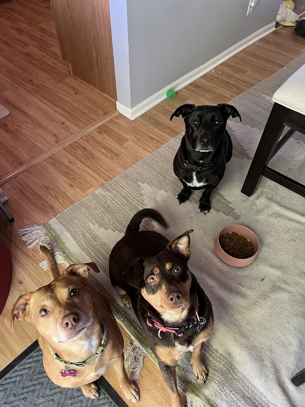 Family Photo 5